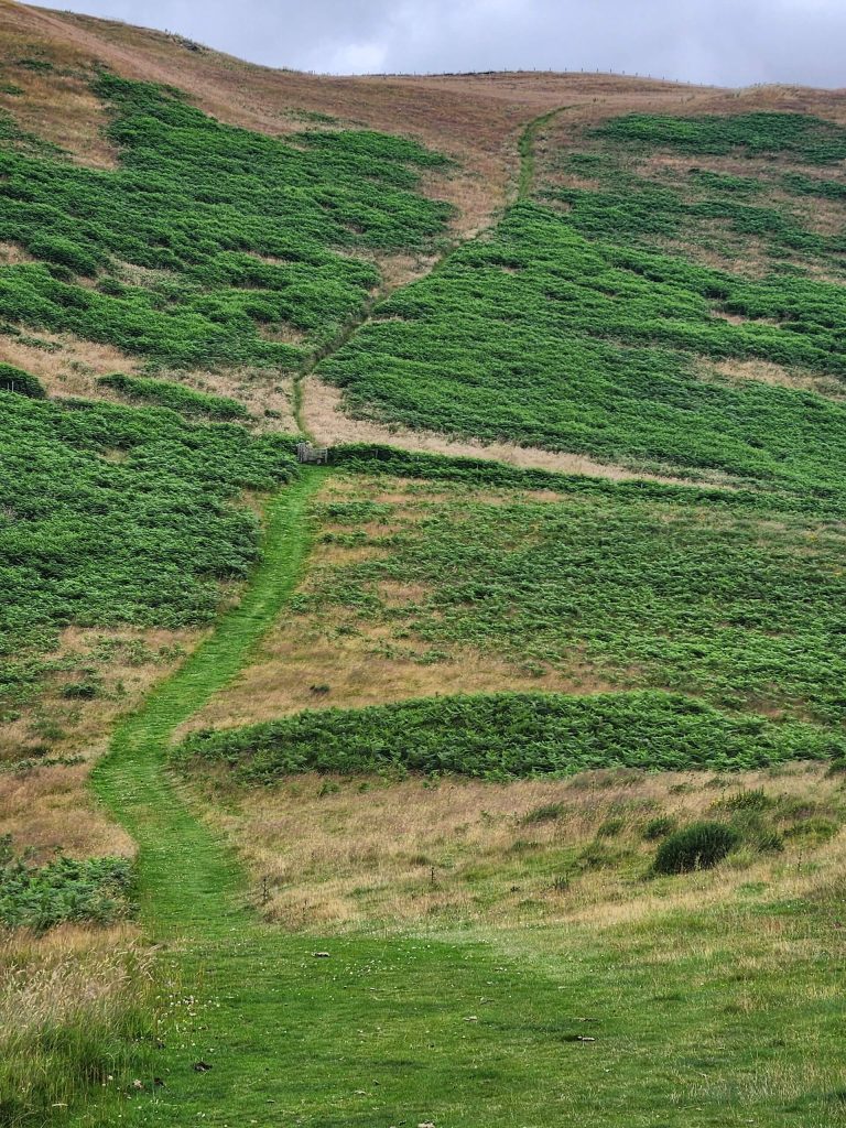 A step into liminality: where the certainty ends, and a future destination is not clear.